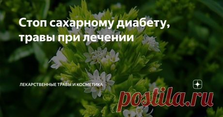 Стоп сахарному диабету, травы при лечении В народной медицине используют большое количество трав при сахарном диабете, мы выбрали несколько эффективных