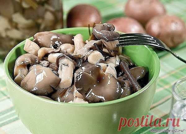 БЫСТРОЕ МАРИНОВАНИЕ ГРИБОВ ВЕШЕНКА
Ммммм.... вкуснятинка!!! Сохраните себе рецепт обязательно!!!
Итак, покупаем:
- 2 килограмма свежих вёшенок, причем, желательно на гроздях и желательно не самых крупных.
- Несколько стеблей сухого укропа с венчиками. Укроп в наборе с лаврушкой можно купить на рынках в рыбных рядах. Эти наборы продают для любителей отваривать раков с укропом. Свежий укроп ни при каких обстоятельствах не годится – велик риск получить потом плесень на поверх...