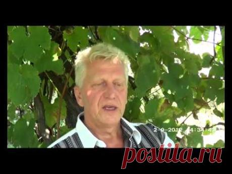№ 70 Мечта, что с нею делать