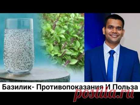Базилик- Противопоказания, Состав И 5 Основных Преимущество