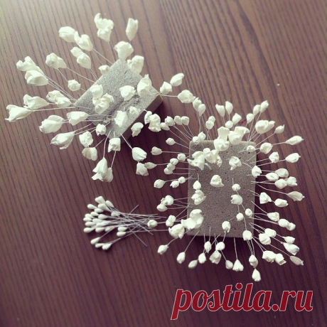Екатерина Звержанская (@fito_art) • Фото и видео в Instagram