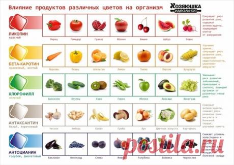 Влияние продуктов различных цветов на организм