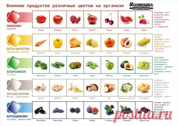 Влияние продуктов различных цветов на организм