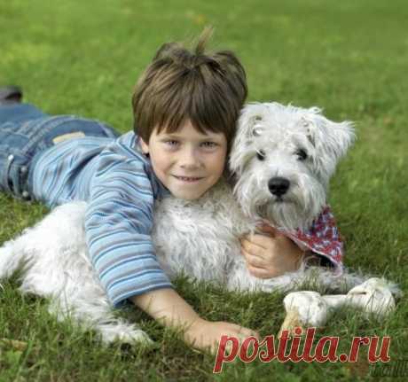 10 лучших пород собак для семей с детьми