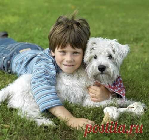 10 лучших пород собак для семей с детьми