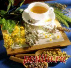 Первоцвет – лекарство от всех болезней. Народные рецепты