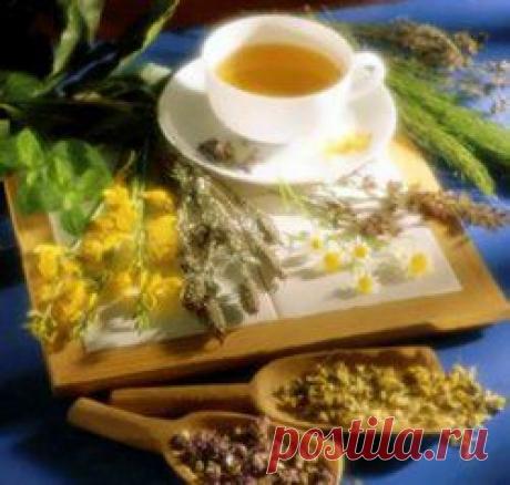 Первоцвет – лекарство от всех болезней. Народные рецепты