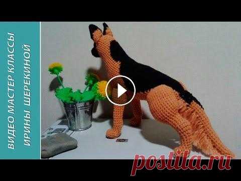 Немецкая овчарка, ч.3. German Shepherd, р.3.  Amigurumi. Crochet.  Амигуруми. Игрушки крючком. Поблагодарить меня за работу можно по ссылке To thank me for the work, you can link to...