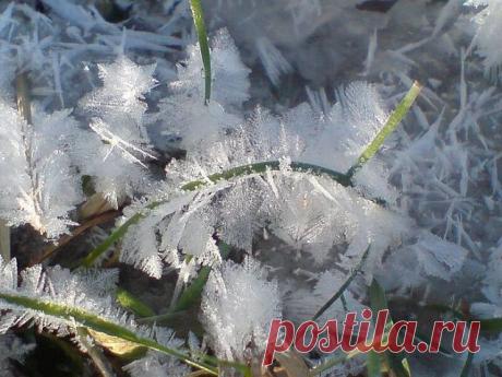 Народные приметы: 30 ноября - Погода на Joinfo.ua