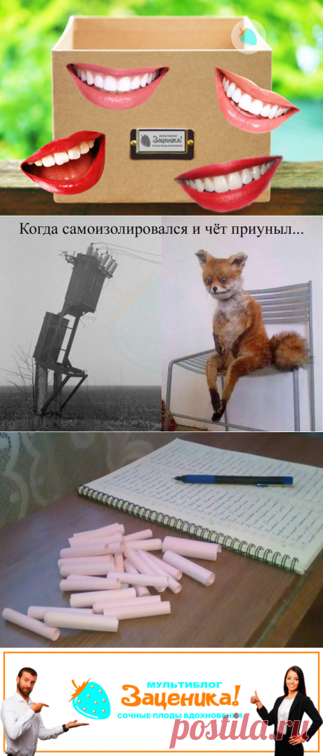 Самая увлекательная игра для всей семьи на самоизоляции. | Заценика | мультиблог | Яндекс Дзен
Привет друзья! Не знаете чем занять себя в самоизоляции? Надоели сериалы, компьютер, соц.сети? Представляем вам лучшую игру для всей семьи! Играйте и смейтесь на здоровье!