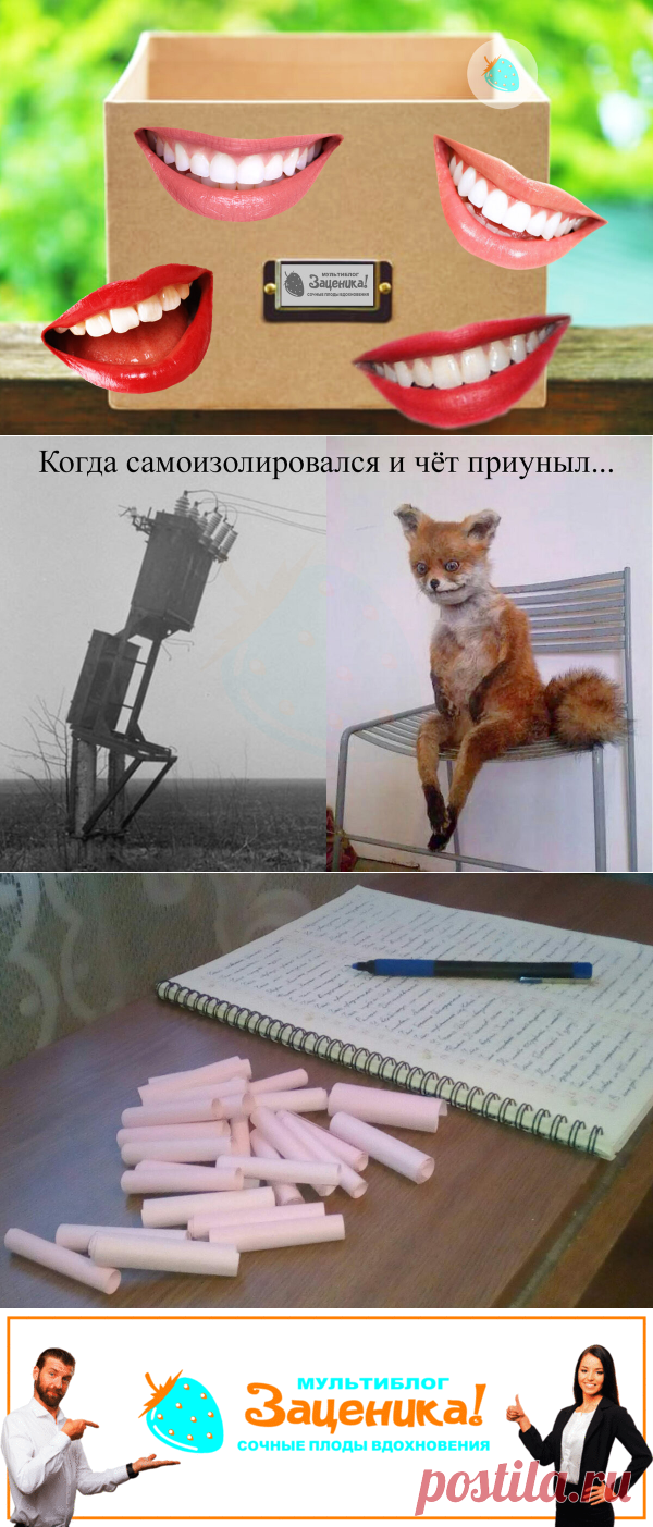 Самая увлекательная игра для всей семьи на самоизоляции. | Заценика | мультиблог | Яндекс Дзен
Привет друзья! Не знаете чем занять себя в самоизоляции? Надоели сериалы, компьютер, соц.сети? Представляем вам лучшую игру для всей семьи! Играйте и смейтесь на здоровье!