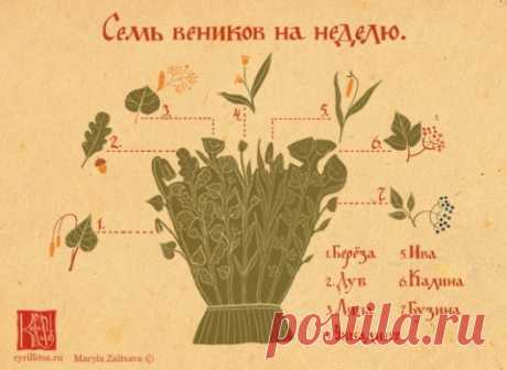 СИЛА БАННЫХ ВЕНИКОВ...