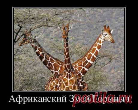 вот так