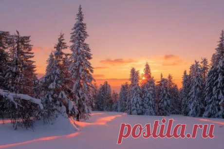 35photo.ru - Google+