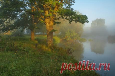 35PHOTO - Александр Гвоздь - У леса на опушке