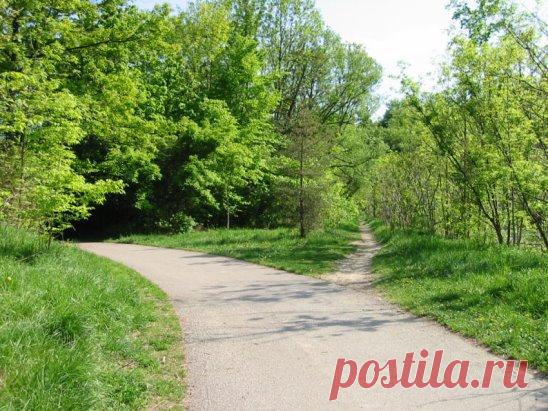 Нам, к сожалению, предвидеть не дано...
Вера Бойченко
Нам, к сожалению, предвидеть не дано,
Чем мы расплатимся за совершенный грех...
Неужто стали бы грешить мы так легко,
Осознавая, что расплата ждет нас всех?!
Не потому, что Кто-то сверху жаждет нас
И нашу волю  обязательно сломить
И, абсолютную употребляя власть,
Заставить все же по Законам Божьим жить.
Наоборот, Он нас свободой одарил,
Не захотев нас превращать в Своих рабов!
Но, вместе с тем, Законы так установил,
Что воздаяние – основа