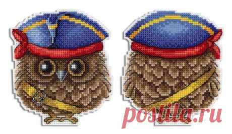 Pirate SR-341 Plastic Canvas Counted Cross Stitch Kit — Wizardi