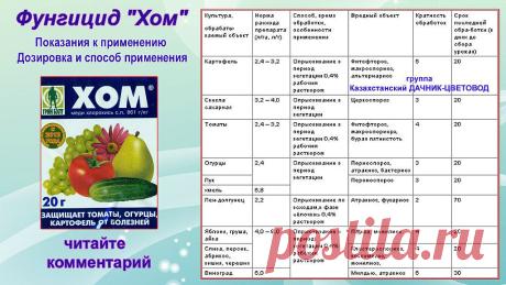 Казахстанский ДАЧНИК - ЦВЕТОВОД