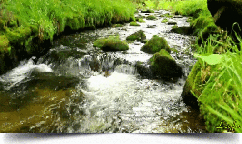 Если ты обеспокоен, пойди и сядь у реки. 
И пусть текущая вода унесет твое беспокойство прочь.....Жемчужные мысли.