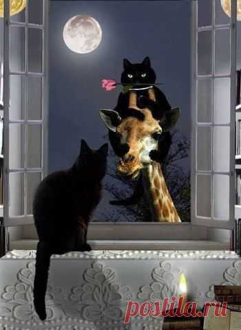 ЧТО НЕ СДЕЛАЕШЬ РАДИ ЛЮБВИ..