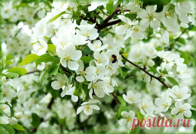 Просыпается жизнь...