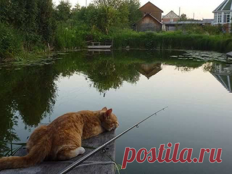 Рыбак.
