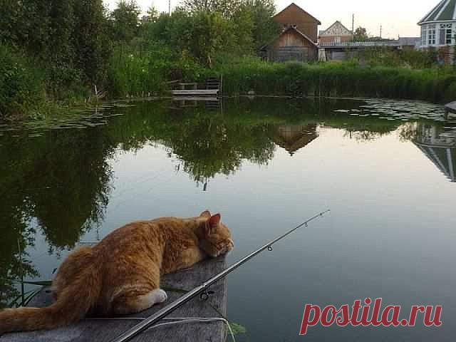 Рыбак.