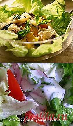 Соусы для салата, заправки для овощей, салатные дрессинги. Рецепты