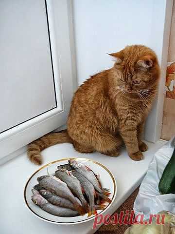 Искушение.