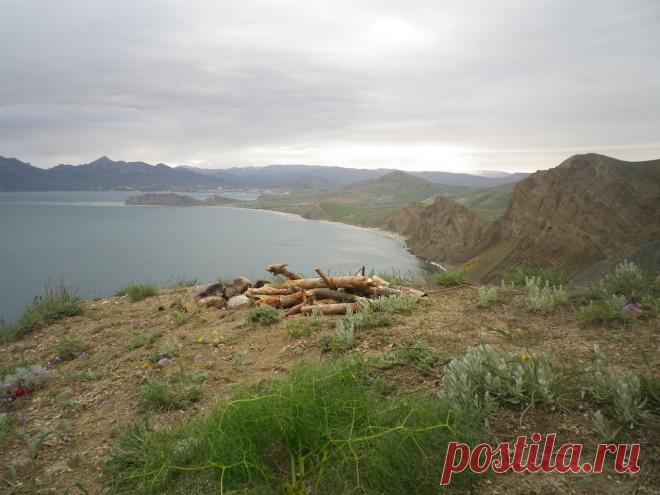 Какие-то романтики издалека принесли сюда на горы эти сосновые поленья, в окрестностях сосен не видно вообще.