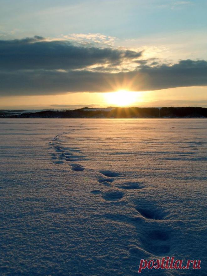 Владимир Шаповалов