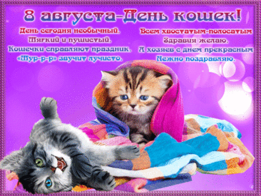 Я любимого кота
Поздравлять сегодня буду!
Без тебя и жизнь не та,
Моё маленькое чудо!
Со Всемирным Днем кошек!