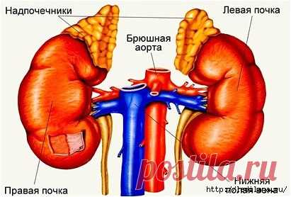 Без заголовка