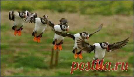 Google+