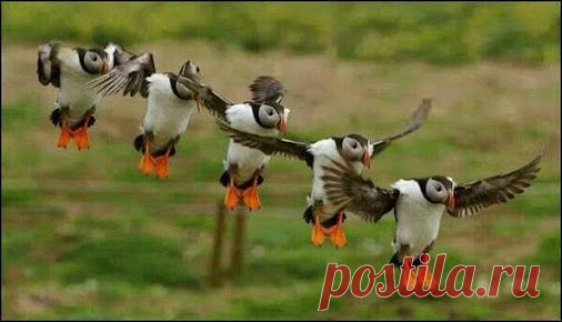 Google+