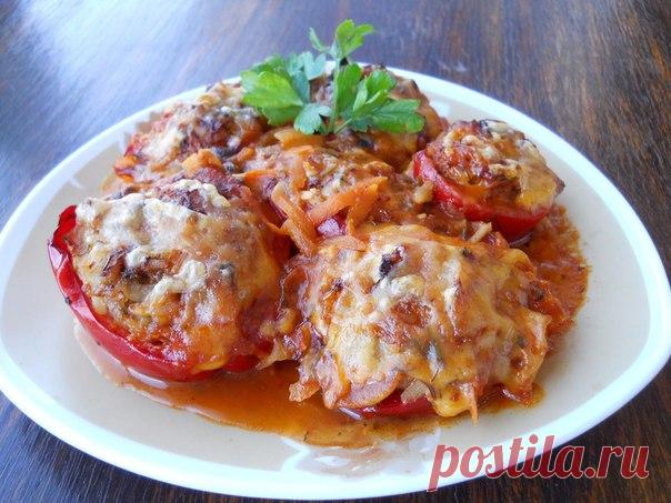 Фаршированный болгарский перец под сыром. 
Ирина Логунова ( Кропива) 
Ирина Логунова ( Кропива) 
У меня был небольшой красный болгарский перец, разрезала пополам , получилось типа лодочек. Начинка : сырой свиной фарш с полусваренным рисом. Нафаршировала перец, выложила в форму, залила соусом. СОУС : обжарила лук полукольцами с натёртой морковью, добавила томат. пасты, водички, посолила, поперчила, если надо можно добавить чуть сахара. Довела до вкуса, д​обавила лаврушку, п...