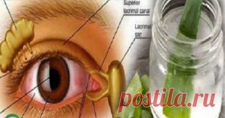 Чёткое зрение вернётся через 4 дня! Об этом не знает 99% населения! — Despasito!