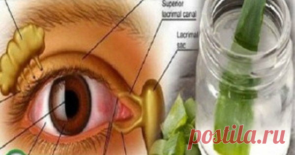 Чёткое зрение вернётся через 4 дня! Об этом не знает 99% населения! — Despasito!