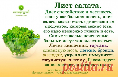 Лист салата