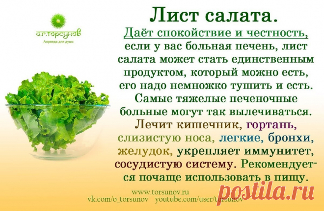 Лист салата