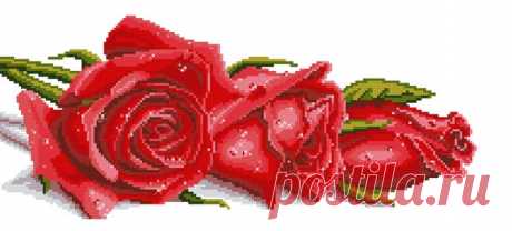 Вышивка Роза в росе | Домоводство для всей семьи. - Part 18