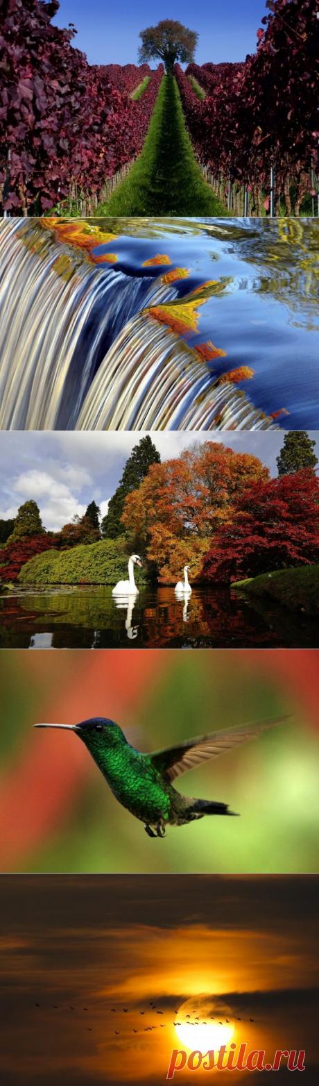 красивые пейзажи(26.04.15.)