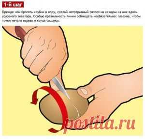 Как очистить картошку за 1 секунду