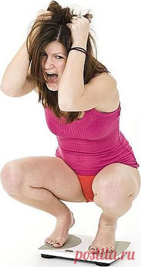 Худеем без проблем! | Едим, что любим, и худеем