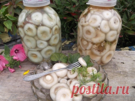 Грузди соленые

Что может быть вкуснее этой закуски? Когда зимой, открыв баночку соленых груздочков, наколов грибочек на вилочку, обмакнув в сметанку с лучком, вкушать их неповторимый вкус!

Ингредиенты:
5 кг груздей,
зонтики укропа,
чеснок по вкусу,
листья смородины и хрена по вкусу,
4 ст ложки соли,
специи по вкусу.

Для рассола:
на 1 литр воды 1 столовая ложка соли.

Приготовление:
1. Грузди почистить и хорошо промыть.
2. Замочить грузди на сутки, в глубокой емкости. Же...