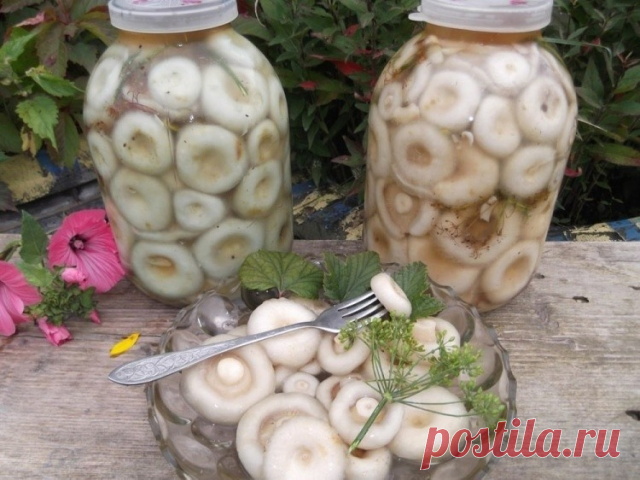 Грузди соленые

Что может быть вкуснее этой закуски? Когда зимой, открыв баночку соленых груздочков, наколов грибочек на вилочку, обмакнув в сметанку с лучком, вкушать их неповторимый вкус!

Ингредиенты:
5 кг груздей,
зонтики укропа,
чеснок по вкусу,
листья смородины и хрена по вкусу,
4 ст ложки соли,
специи по вкусу.

Для рассола:
на 1 литр воды 1 столовая ложка соли.

Приготовление:
1. Грузди почистить и хорошо промыть.
2. Замочить грузди на сутки, в глубокой емкости. Же...