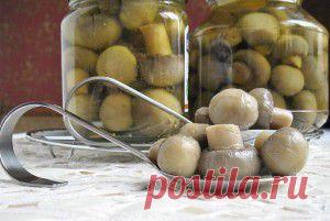 Соленые шампиньоны