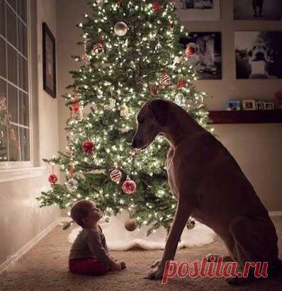 Потрясающий кадр! Желаю тебе счастья малыш...