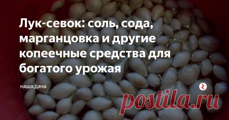 Лук-севок: соль, сода, марганцовка и другие копеечные средства для богатого урожая Специалисты единогласно призывают замачивать севок перед посадкой в специальных растворах – этот нехитрый шаг поможет укрепить иммунитет растений и повысит их сопротивляемость заболеваниям. Например, раствор поваренной соли защитит посадки от нашествия луковой мухи, оградит луковки от трипса и клещей.