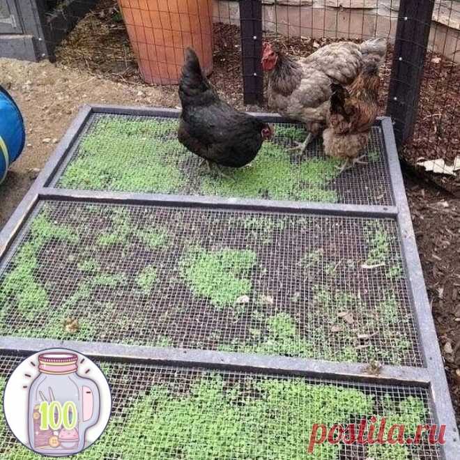 Приспособления, которые реально облегчат жизнь дачника